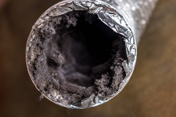 Best Affordable Air Duct Cleaning  in Salida Del Sol Estates, TX